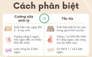 cuong sua sinh ly tac tia sua 2